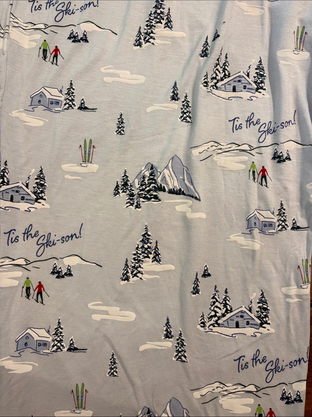 Auden Light Blue Ski Village Print Pajama Pants - Picture 2 of 5